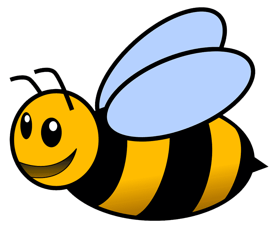 bienenachhilfe